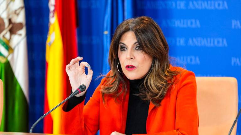 El PSOE de Jaén acusa a la Junta de “hundir” la sanidad pública El PSOE de Jaén acusa a la Junta de “hundir” la sanidad pública