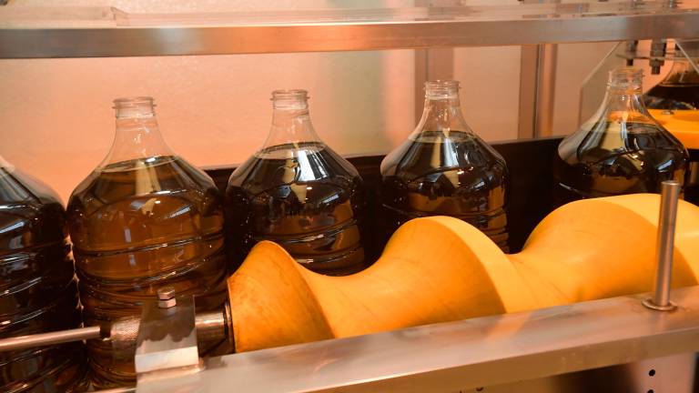 En alza el consumo de aceite de oliva a nivel mundial En alza el consumo de aceite de oliva a nivel mundial