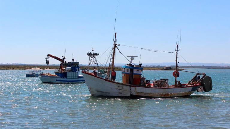 Hay acuerdo para el reparto de pesca de 2025 en aguas comunitarias Hay acuerdo para el reparto de pesca de 2025 en aguas comunitarias