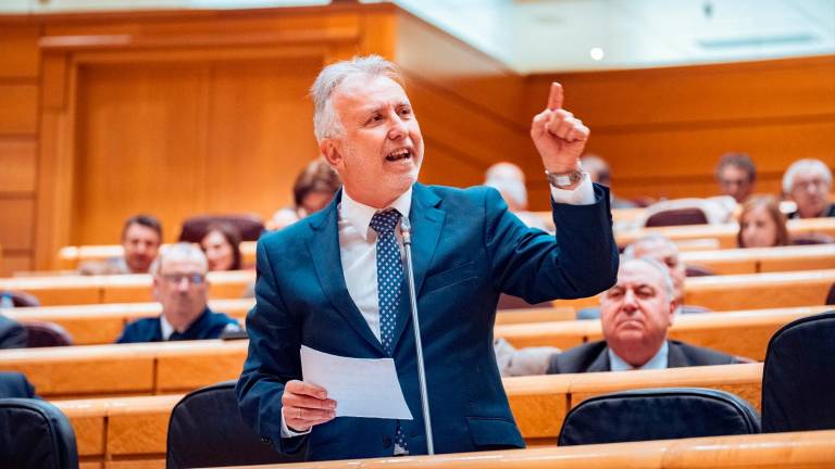 El ministro Ángel Víctor Torres defiende la moción de censura en Jaén El ministro Ángel Víctor Torres defiende la moción de censura en Jaén