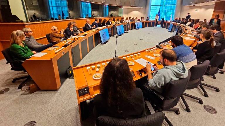 Jaén llega al Parlamento Europeo con el aceite de oliva virgen extra por bandera Jaén llega al Parlamento Europeo con el aceite de oliva virgen extra por bandera