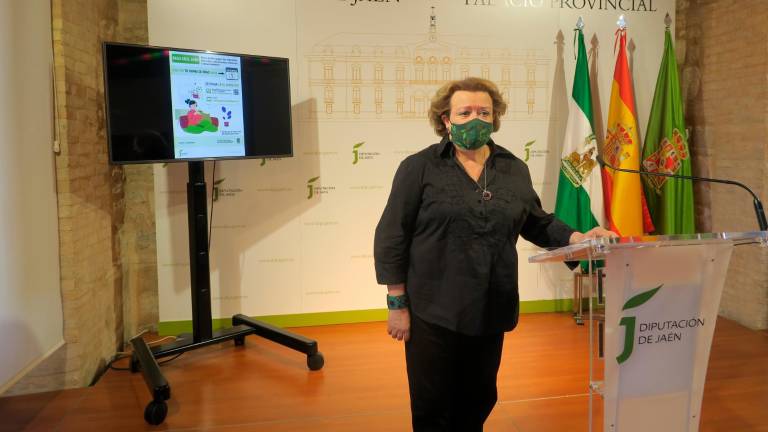 La Diputación habilita planes para facilitar el pago de los tributos municipales La Diputación habilita planes para facilitar el pago de los tributos municipales
