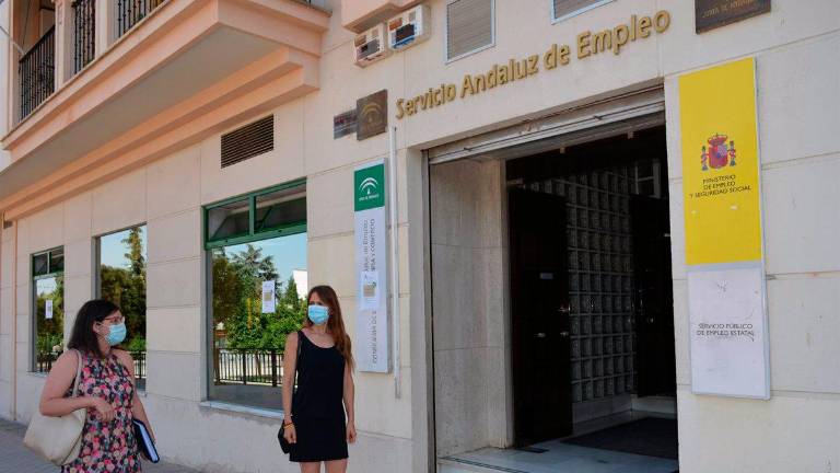 Seis entidades inician un programa del SAE que facilitará prácticas no laborales en empresas a 560 desempleados Seis entidades inician un programa del SAE que facilitará prácticas no laborales en empresas a 560 desempleados