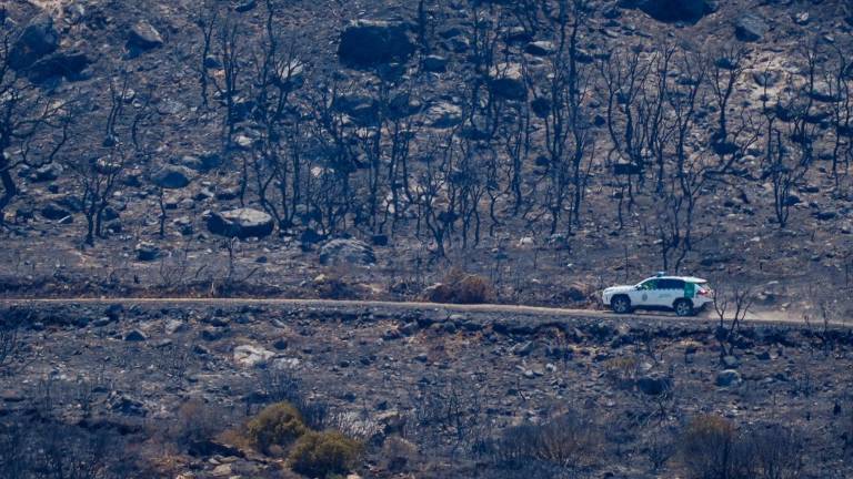 El Gobierno pide “prudencia” sobre las causas del incendio de Tarifa El Gobierno pide “prudencia” sobre las causas del incendio de Tarifa