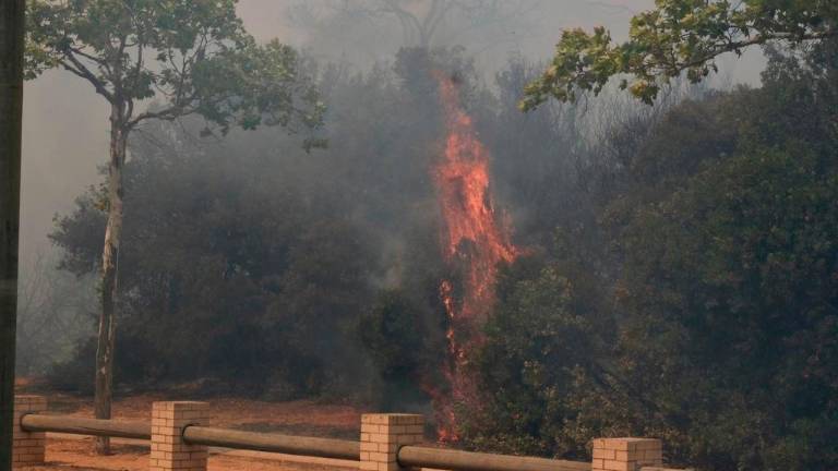 Estabilizado el incendio de Cádiz que deja más de 40 heridos leves por humo y quemaduras Estabilizado el incendio de Cádiz que deja más de 40 heridos leves por humo y quemaduras