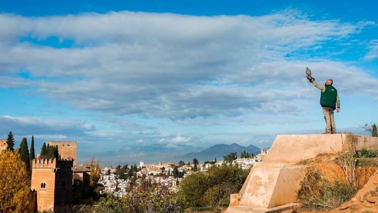 Los otros “guardianes” del entorno de la Alhambra Los otros “guardianes” del entorno de la Alhambra