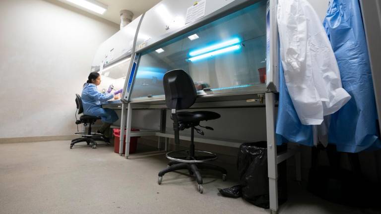 Desmentida la teoría conspiranoica sobre el coronavirus Desmentida la teoría conspiranoica sobre el coronavirus