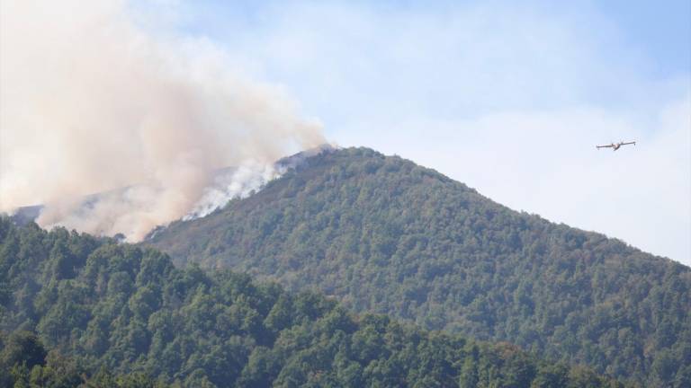 Ingenieros de Montes piden gestionar el territorio para “modular” incendios contra los que no se puede luchar Ingenieros de Montes piden gestionar el territorio para “modular” incendios contra los que no se puede luchar
