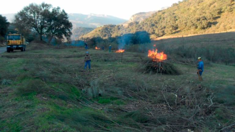 La Junta suspende excepcionalmente las quemas agrícolas durante diez días La Junta suspende excepcionalmente las quemas agrícolas durante diez días
