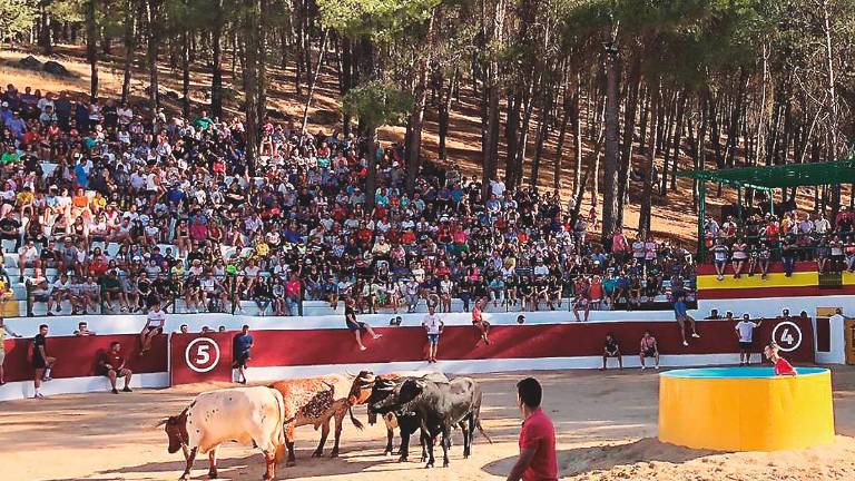 Segunda jornada de los tradicionales encierros