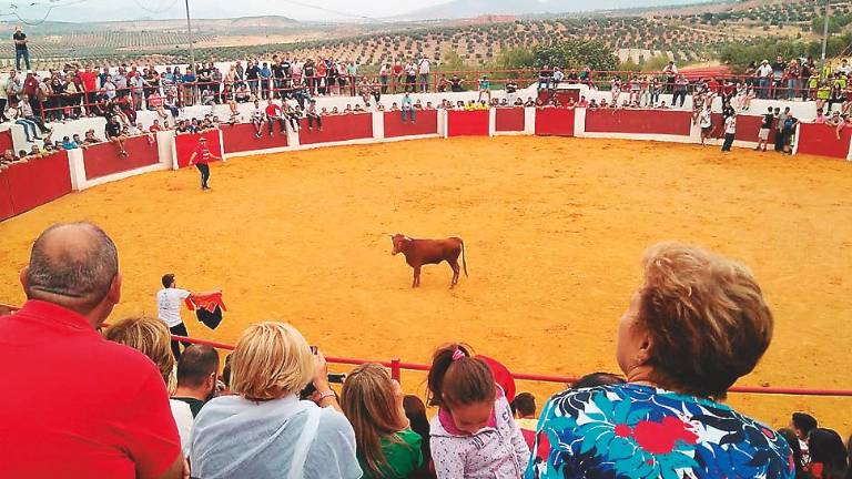 Música y toros para rendir honores Música y toros para rendir honores