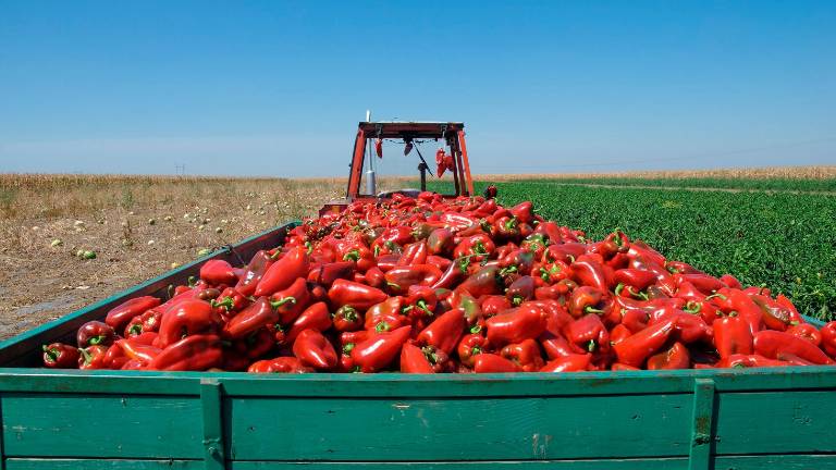 Nuevas medidas de la Junta para el transporte agrícola Nuevas medidas de la Junta para el transporte agrícola
