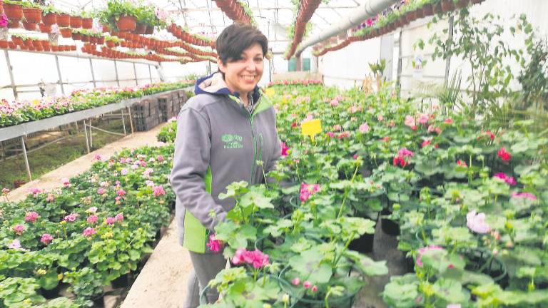 Un Mayo con buenas sensaciones para la floristería Un Mayo con buenas sensaciones para la floristería