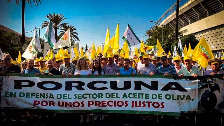 Miles de olivareros protestan por el “robo” de los bajos precios Miles de olivareros protestan por el “robo” de los bajos precios
