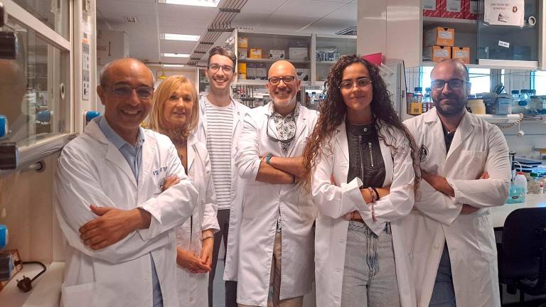 Investigan en Jaén la relación entre microplásticos e infartos Investigan en Jaén la relación entre microplásticos e infartos