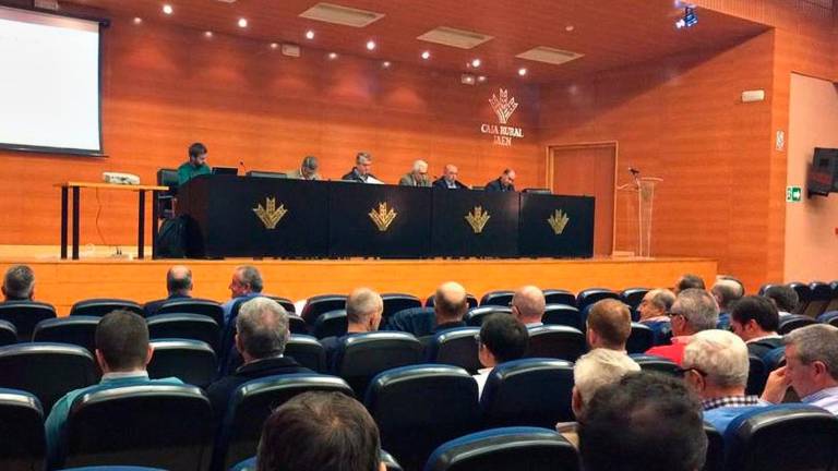 Cooperativas Agro-Alimentarias: Andalucía no superará las 900.000 toneladas de aceite Cooperativas Agro-Alimentarias: Andalucía no superará las 900.000 toneladas de aceite