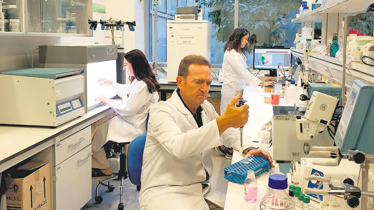 Investigadores jiennenses consiguen sustituir los colorantes artificiales de las bebidas por otros naturales Investigadores jiennenses consiguen sustituir los colorantes artificiales de las bebidas por otros naturales