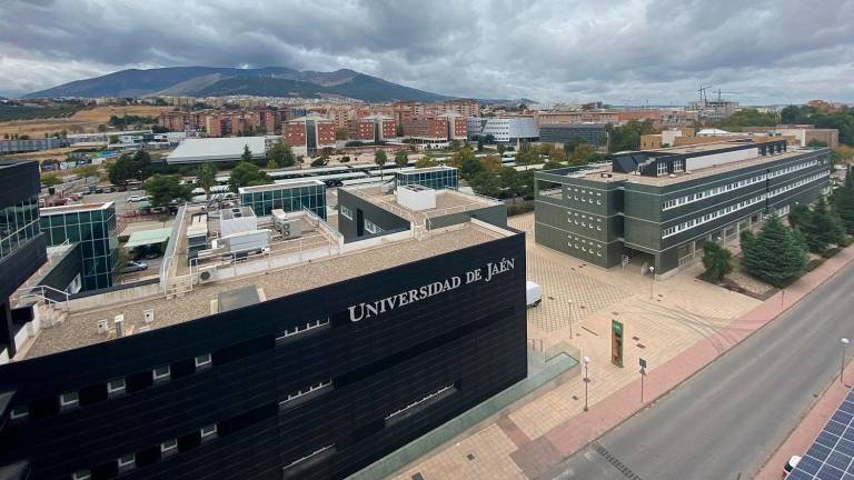 La UJA retoma este martes la actividad académica “con normalidad” La UJA retoma este martes la actividad académica “con normalidad”