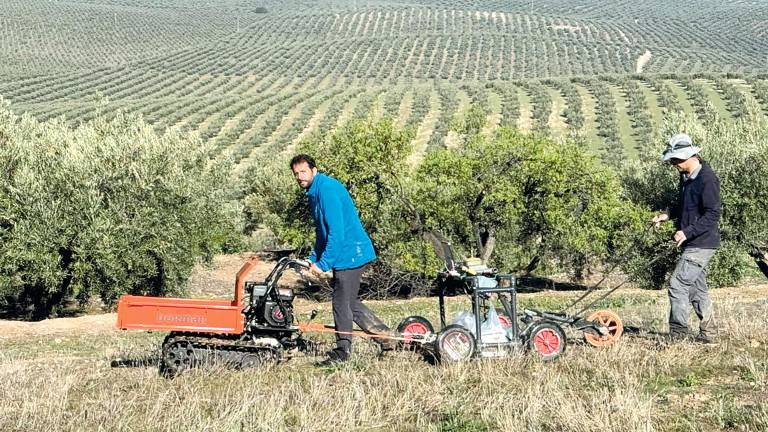 El georradar peina el oppidum y la necrópolis de La Bobadilla El georradar peina el oppidum y la necrópolis de La Bobadilla