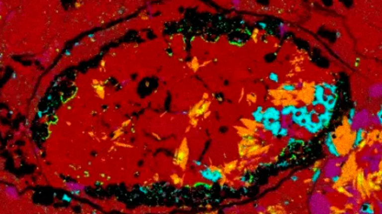Un meteorito delata que hay un asteroide desconocido rico en agua Un meteorito delata que hay un asteroide desconocido rico en agua
