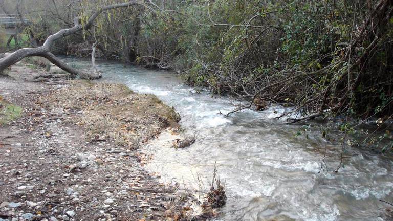 Grazalema acumula 166 litros en dos días, el mayor dato de precipitaciones de Andalucía Grazalema acumula 166 litros en dos días, el mayor dato de precipitaciones de Andalucía