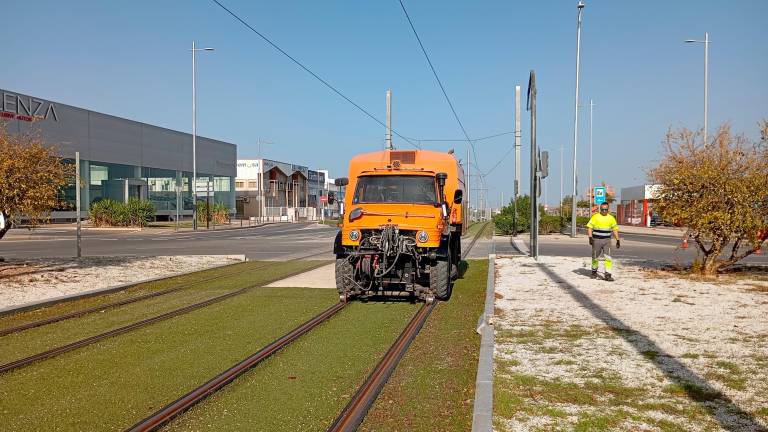 Jaén se prepara para el tranvía con limpieza y lijado del carril Jaén se prepara para el tranvía con limpieza y lijado del carril