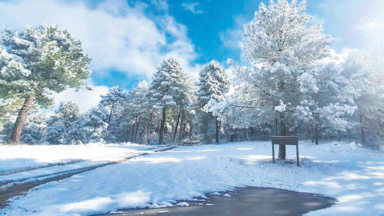 La helada trae nieve a la Sierra de Segura La helada trae nieve a la Sierra de Segura