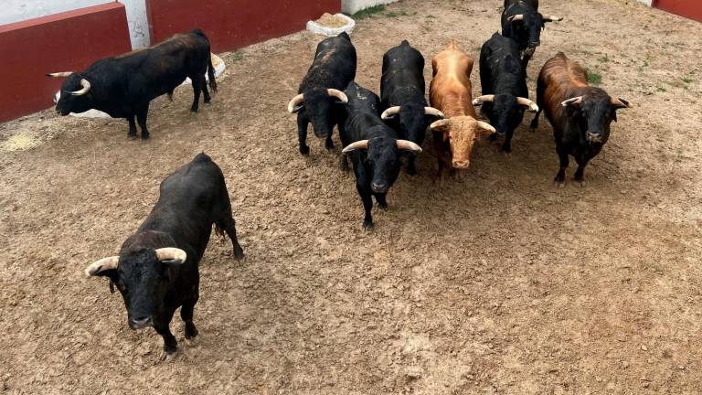 La corrida de toros de Villanueva del Arzobispo sigue adelante
