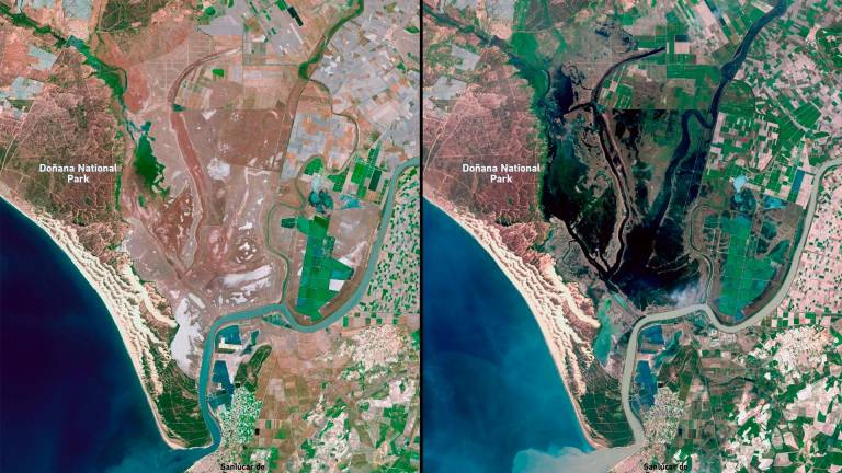 Así se ve la recuperación de Doñana desde el espacio