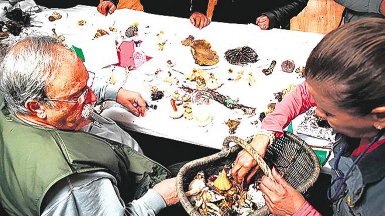 Pasión por el mundo micológico Pasión por el mundo micológico