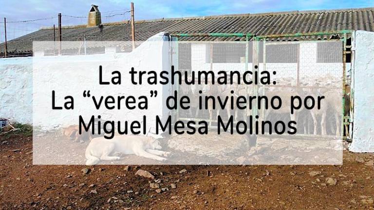 El apartado, el remate, fin de la verea El apartado, el remate, fin de la verea