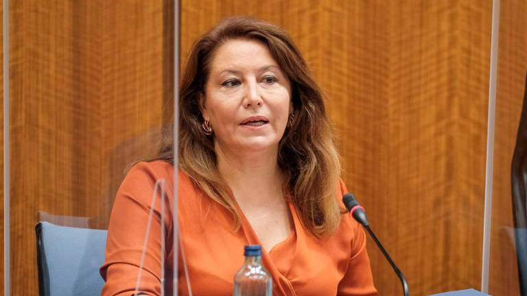 La Junta “va a reforzar” los centros de salud en la aceituna La Junta “va a reforzar” los centros de salud en la aceituna