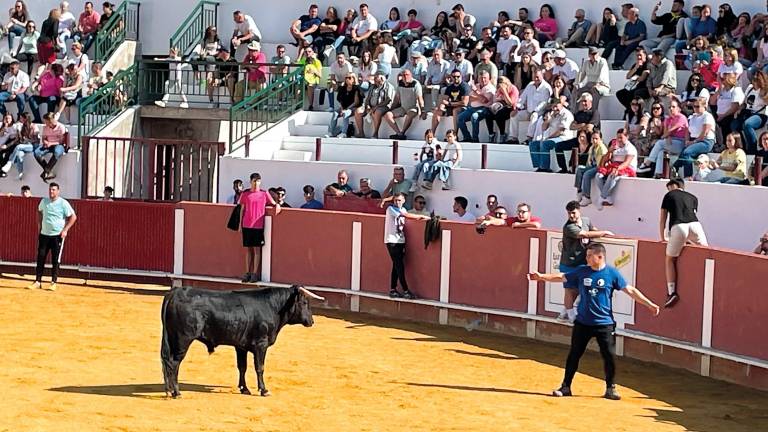 Fintas de vértigo y valentía frente al ganado bravo en La Puerta de Segura Fintas de vértigo y valentía frente al ganado bravo en La Puerta de Segura