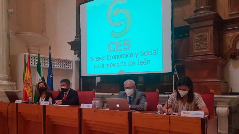 El pleno del CES Provincial aborda ITI y Fondos Europeos El pleno del CES Provincial aborda ITI y Fondos Europeos