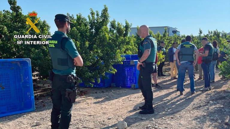 Liberadas 52 víctimas rumanas de explotación laboral en Brenes (Sevilla) Liberadas 52 víctimas rumanas de explotación laboral en Brenes (Sevilla)