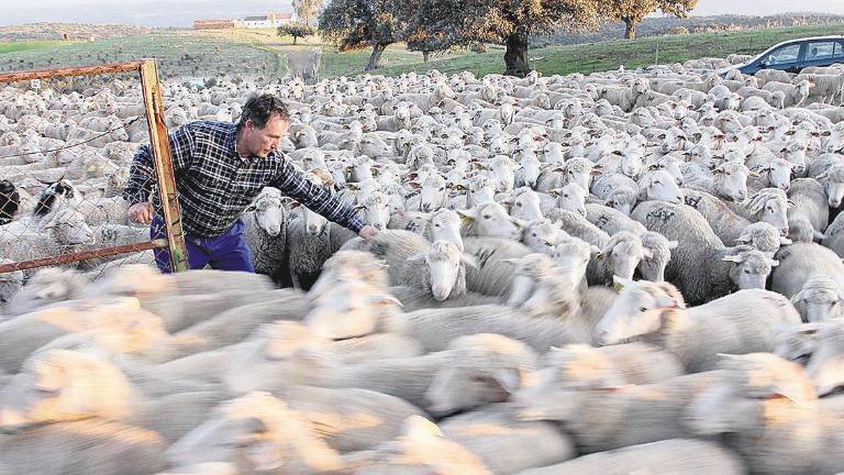 Un millón de euros para recuperar el sector primario Un millón de euros para recuperar el sector primario