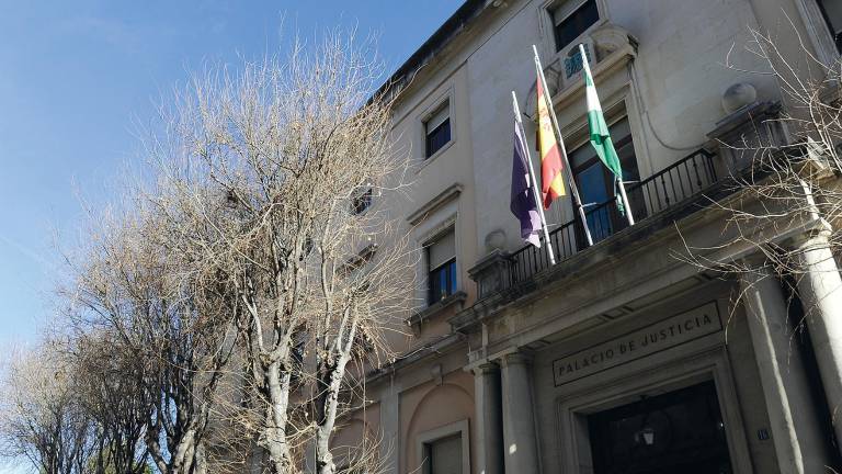Nueve años de cárcel por agresión sexual a una menor con discapacidad Nueve años de cárcel por agresión sexual a una menor con discapacidad