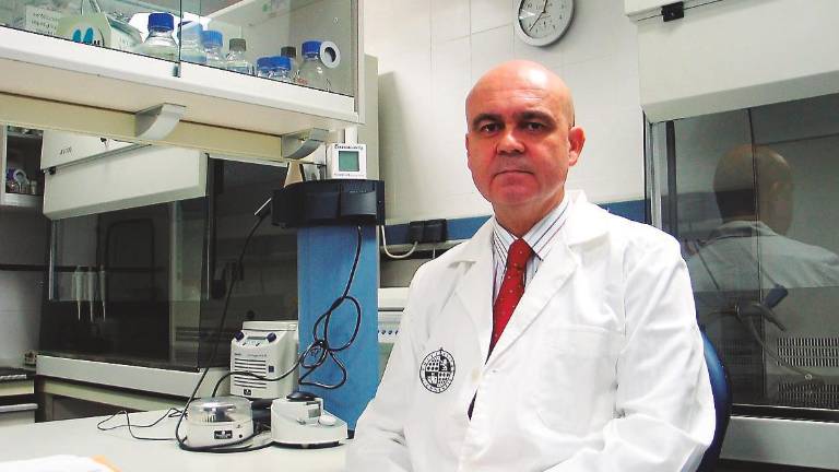 Reconocen la investigación en aceite de oliva de Gaforio Reconocen la investigación en aceite de oliva de Gaforio