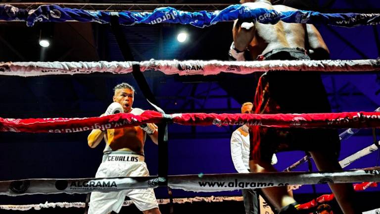 Velada para enmarcar del boxeo jiennense Velada para enmarcar del boxeo jiennense