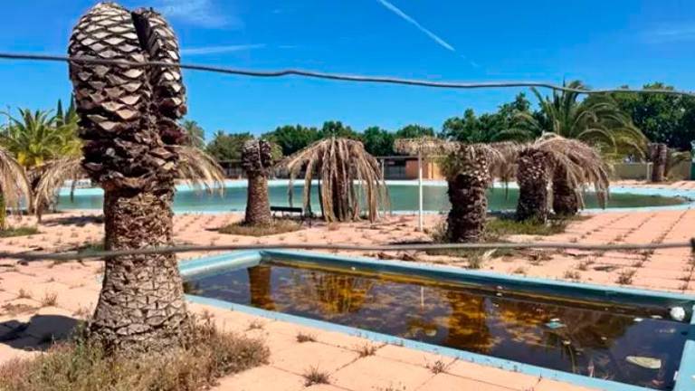 El PP afea que el alcalde ha convertido la piscina de Las Fuentezuelas en un cementerio de palmeras El PP afea que el alcalde ha convertido la piscina de Las Fuentezuelas en un cementerio de palmeras