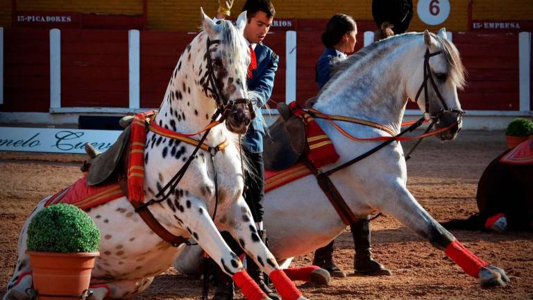Jaén se prepara para el Espectáculo Ecuestre Flamenco Jaén se prepara para el Espectáculo Ecuestre Flamenco