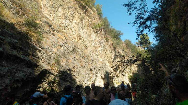 Los Cañones, la lucha incansable Los Cañones, la lucha incansable
