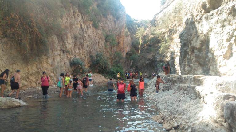 Los Cañones, la lucha incansable Los Cañones, la lucha incansable