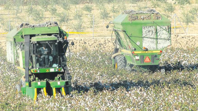 El campo y su papel decisivo El campo y su papel decisivo