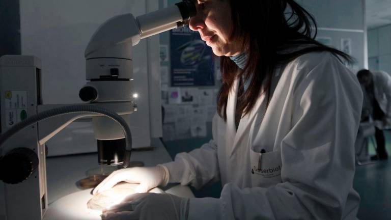 Los investigadores quieren destruir el genoma del virus Los investigadores quieren destruir el genoma del virus