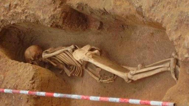Investigadores confirman por primera vez el origen fenicio de cinco individuos enterrados en Cádiz Investigadores confirman por primera vez el origen fenicio de cinco individuos enterrados en Cádiz