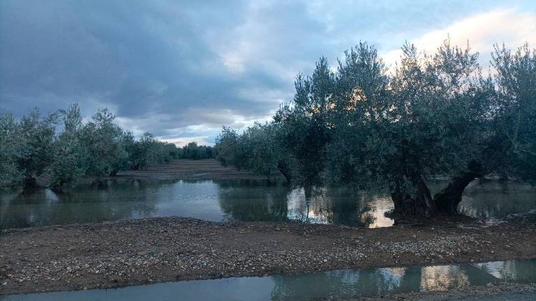 Los puntos más lluviosos del sureste peninsular están en Jaén: Cortijo El Valle (66,1 litros) y Arroyo Frío (60,2) Los puntos más lluviosos del sureste peninsular están en Jaén: Cortijo El Valle (66,1 litros) y Arroyo Frío (60,2)