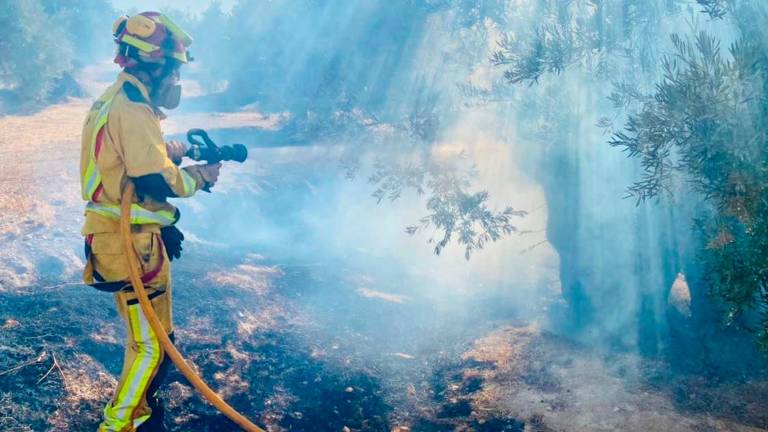 Los Bomberos de Jaén sofocan tres incendios: uno en Mancha Real y dos en la capital Los Bomberos de Jaén sofocan tres incendios: uno en Mancha Real y dos en la capital