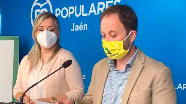 El PP amplía su comité de dirección con 21 vicesecretarías para “conquistar la Diputación” El PP amplía su comité de dirección con 21 vicesecretarías para “conquistar la Diputación”