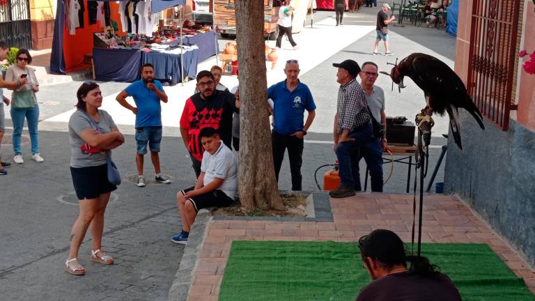 Feria de la Trashumancia (VI): De la cetrería a la demostración de trilla tradicional Feria de la Trashumancia (VI): De la cetrería a la demostración de trilla tradicional